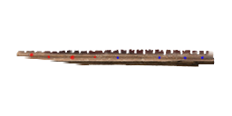 the wish wand